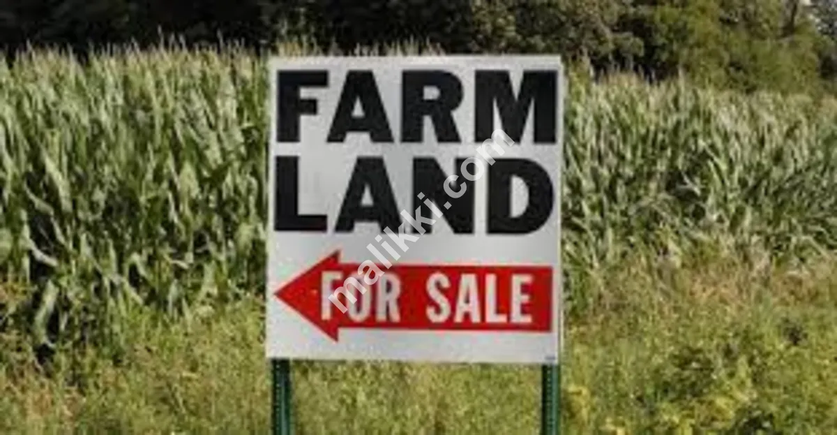 16 کنال فارم ہاؤس اراضی 4 طرفہ باؤنڈری مکمل برائے فروخت 