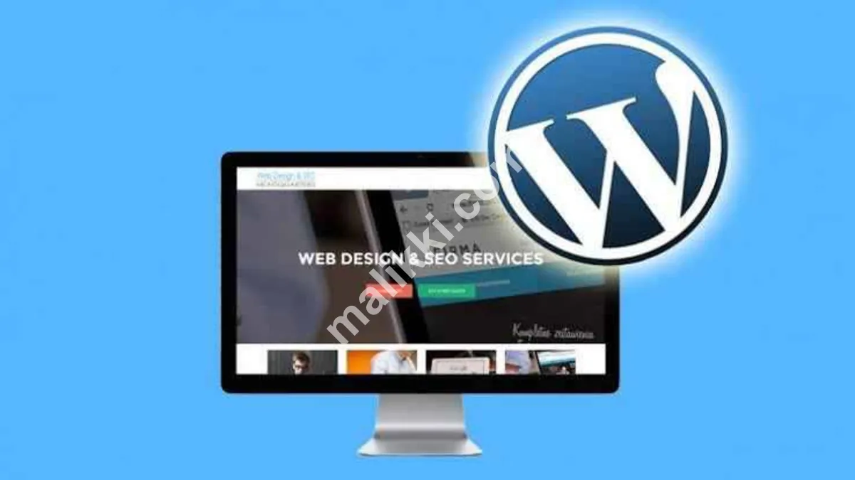 WordPress Website developer make your business website