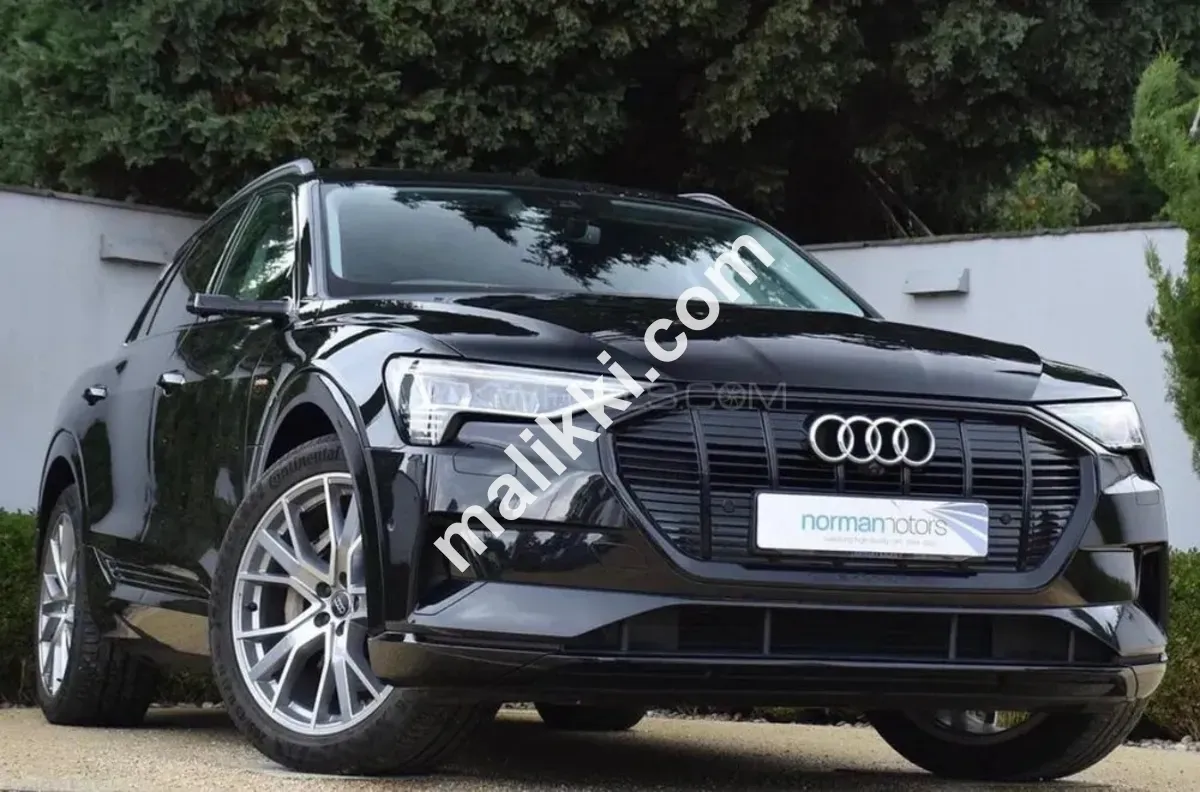 Audi e-tron 55 quattro 300kW 2020