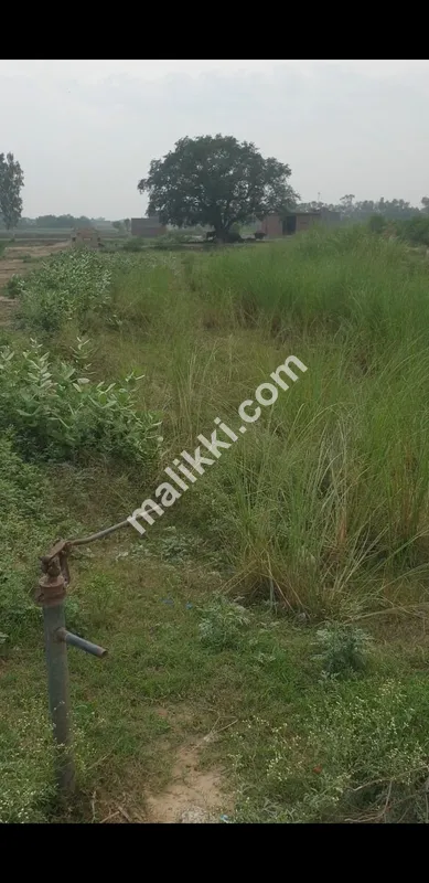 1 kanal corner plot for sale in baseen village near gulshan e baseen society