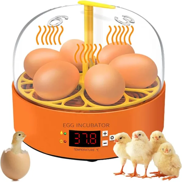 6 eggs fully automatic hatchery machine incubator