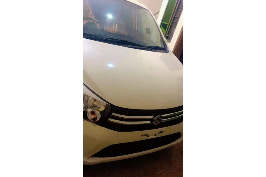 Suzuki cultus